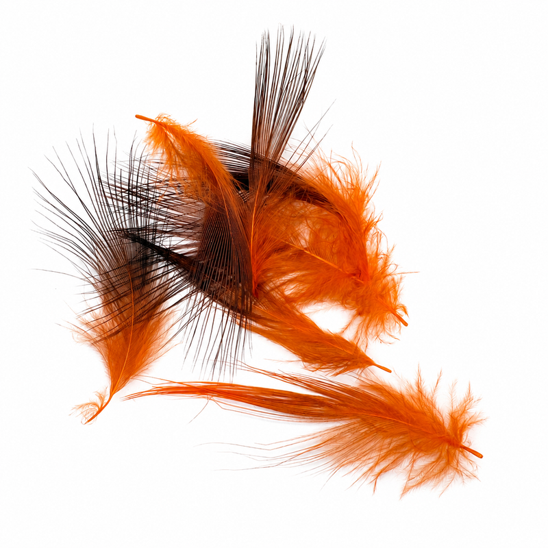 Load image into Gallery viewer, Fishing Fever Heron feathers in bright orange, fanned plume style
