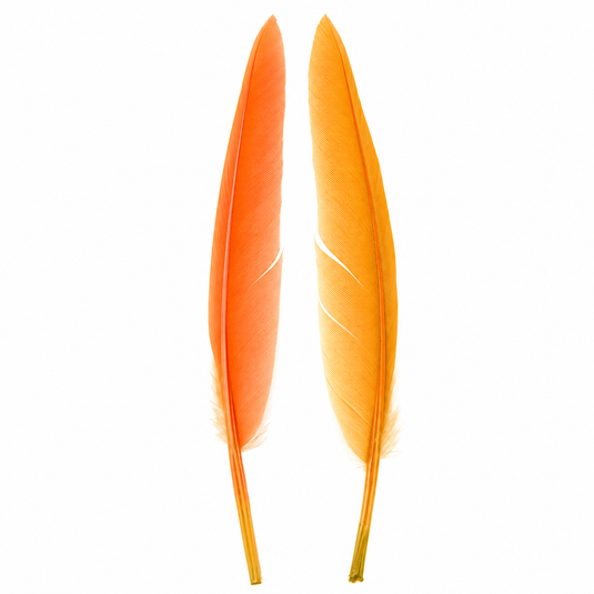 Shor Duck Quills
