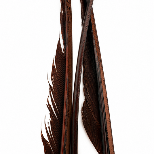 Hook & Hackle Turkey Biots