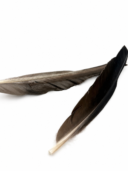 Hook & Hackle Goose Quills