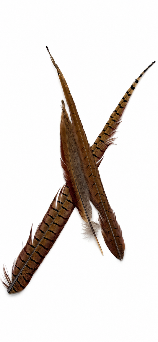 Two pheasant tail fishing flies with brown feather bodies and barred tails