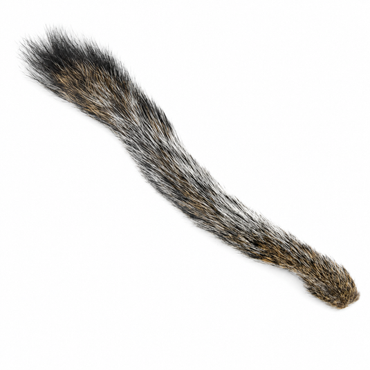 Shor Squirrel Tail