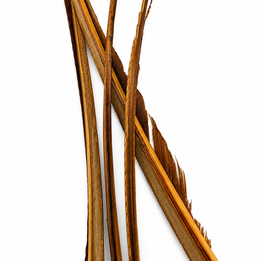 Hook & Hackle Turkey Biots