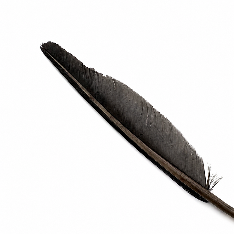Load image into Gallery viewer, Hook &amp; Hackle Goose Quills

