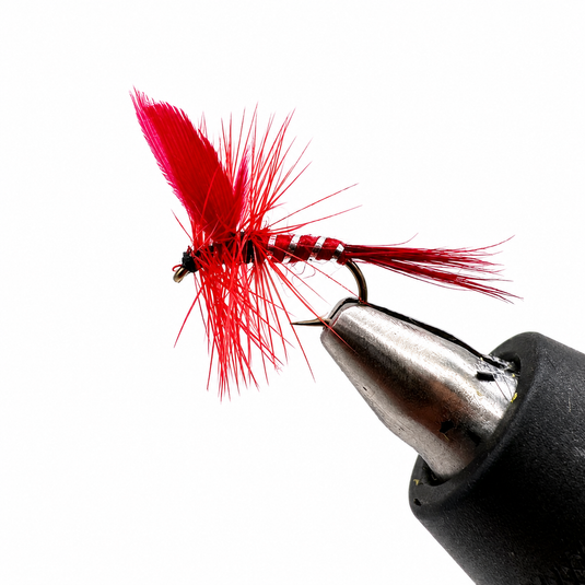 Red feather dry fly with silver metal body and dark hook