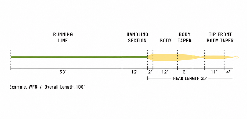 Load image into Gallery viewer, VersiTip II sizing diagram with running line, body and taper; head 35 ft
