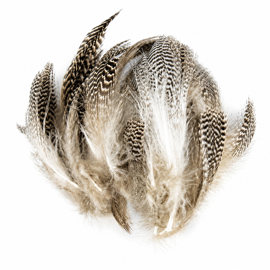 Speckled duck feather flank with long layered plumes and dark-and-white pattern