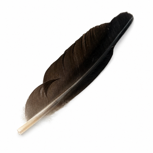 Hook & Hackle Goose Quills