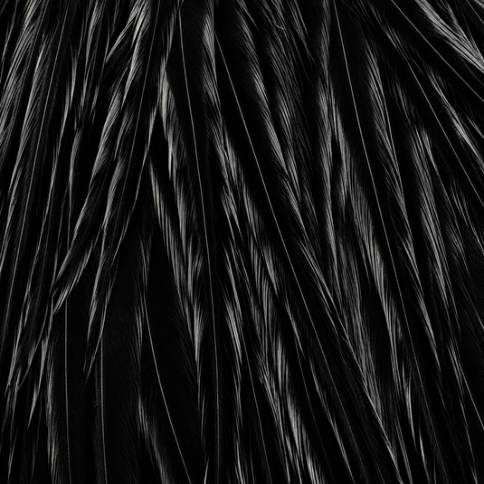Black feather saddle with long tufted fibers