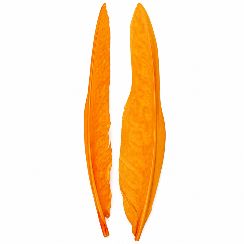 Load image into Gallery viewer, Shor Goose Quills
