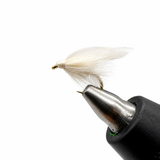 White Moth