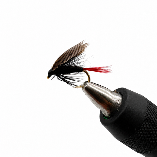 Black Gnat