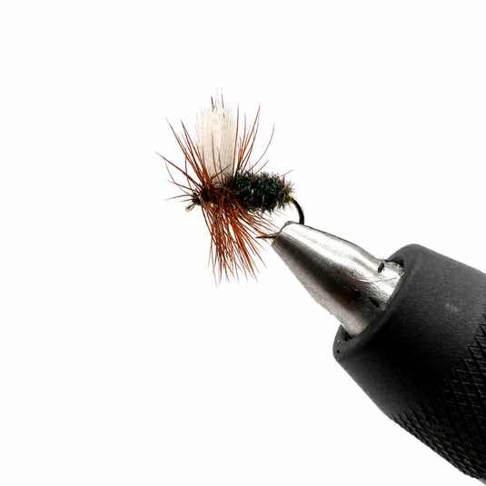 Coachman Dry