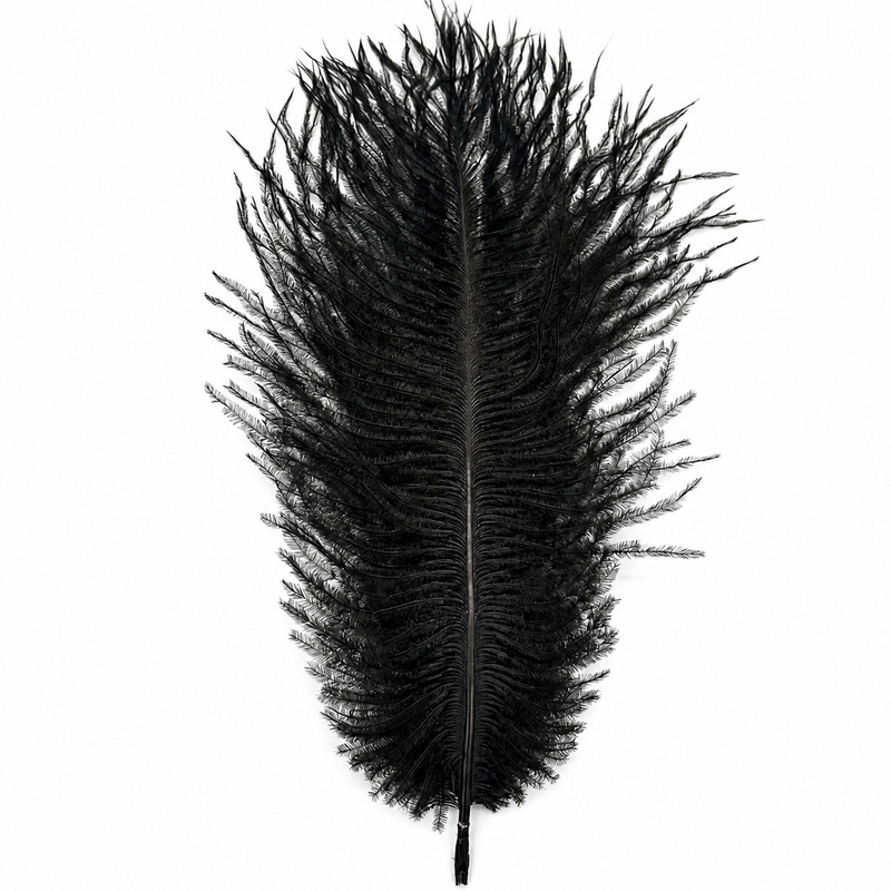 Load image into Gallery viewer, Hook &amp; Hackle Ostrich Plume
