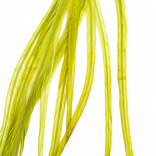 Chartreuse dry fly hackle, dense yellow-green strands for fly tying