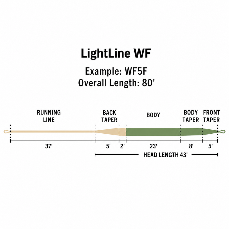 Load image into Gallery viewer, Rio Premier Lightline
