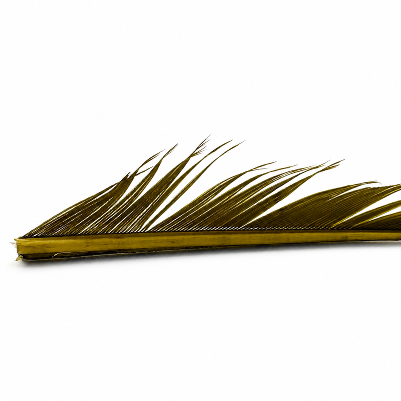 Load image into Gallery viewer, Hook &amp; Hackle Turkey Biots
