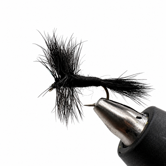 Black Wulff