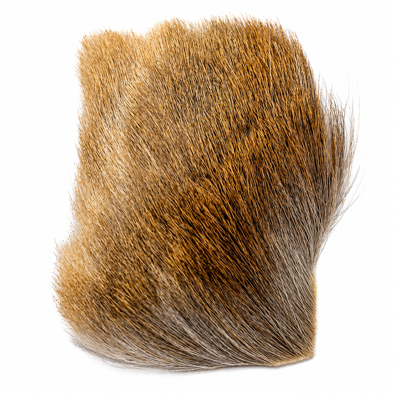 Load image into Gallery viewer, Fallow deer body hair tuft, tan and dark brown, dense short strands
