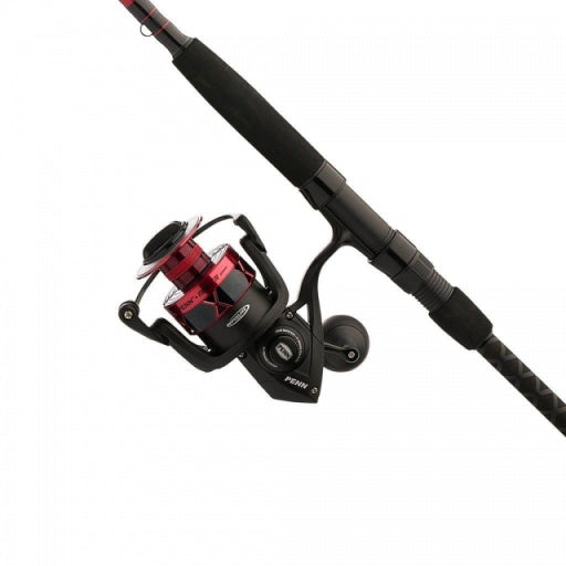 Penn Fierce IV combo 9 foot