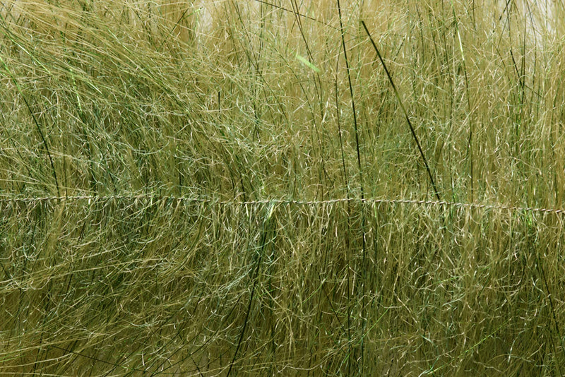 Load image into Gallery viewer, Dirty olive craft brush fibers close-up
