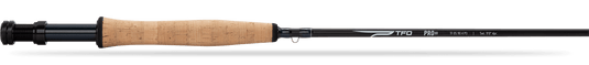Fishing rod with cork handle and dark graphite blank, close-up view.